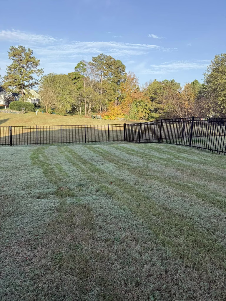 Grid Pattern Scoop in Pittsboro Poop Scooping