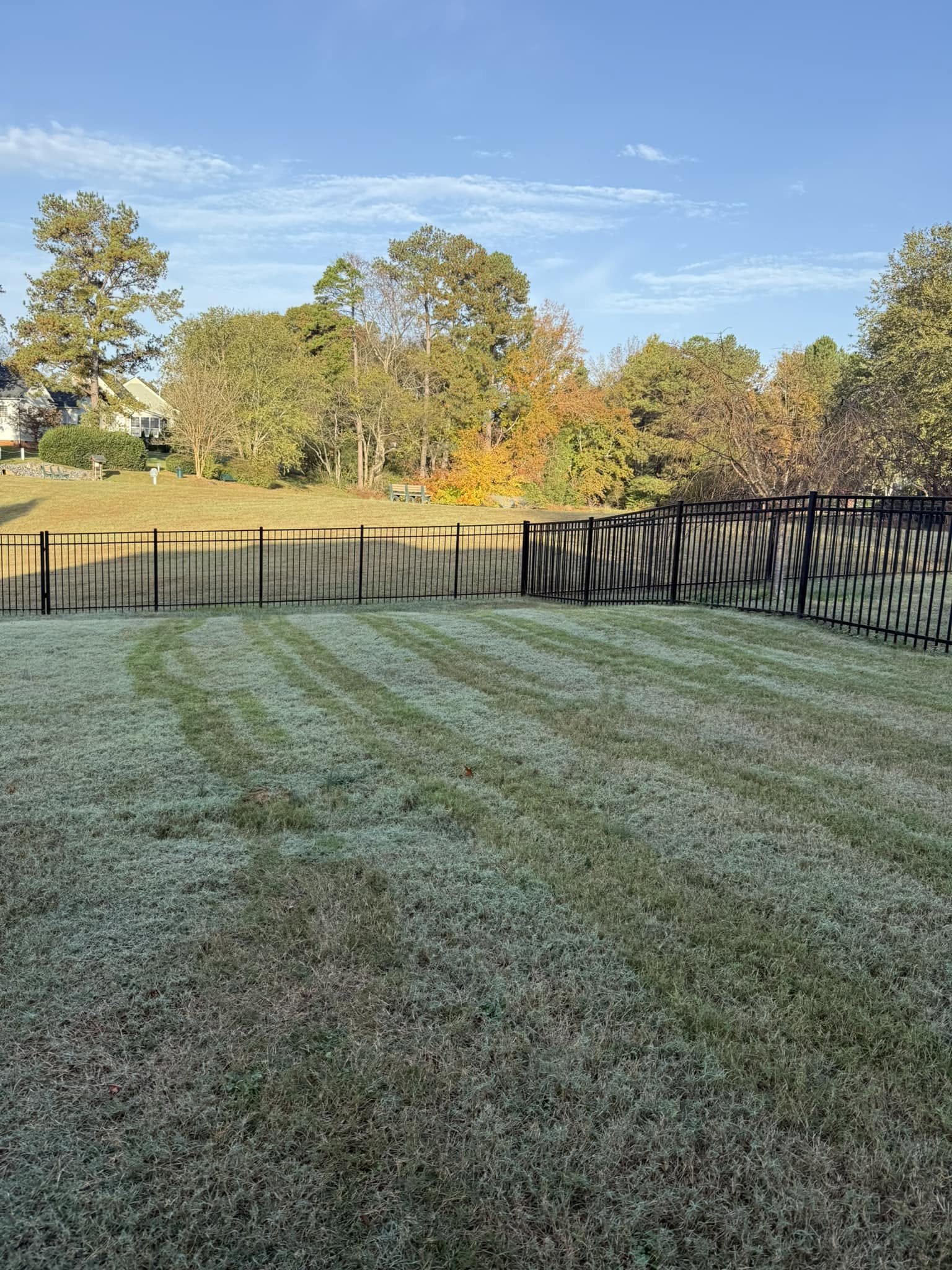 Clean fenced residential yard in the Circle City Scoopers service area
